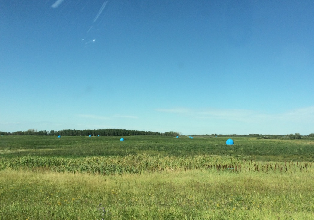 bee_hive_prairies